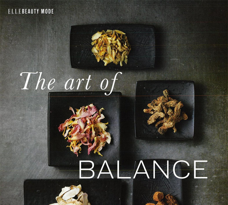 The Art of Balance image