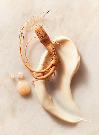 Korean Ginseng and Sulwhasoo Product Formulations Utilizing Ginseng