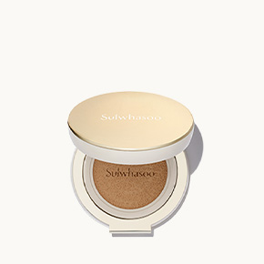 Perfecting Cushion