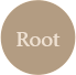 Root