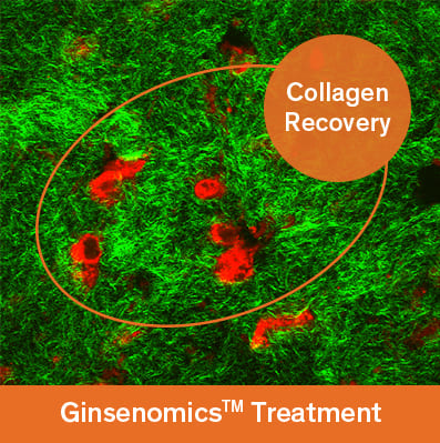 Ginsenomics™ Treatment
