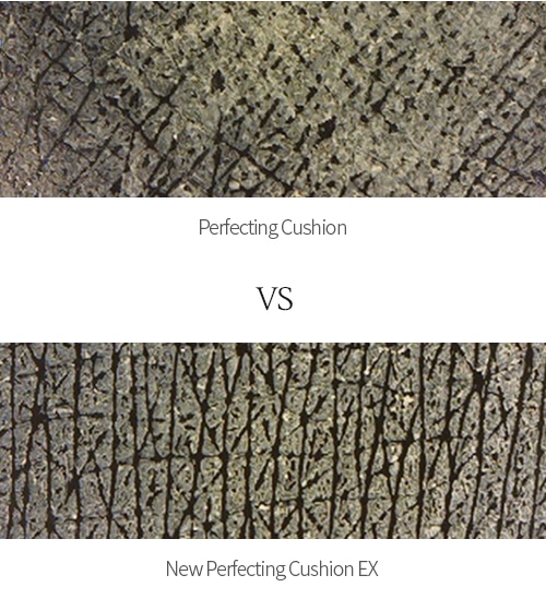 Perfecting Cushion VS NEW Perfecting Cushion EX