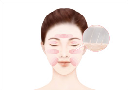 STEP1 - 참고 일러스트