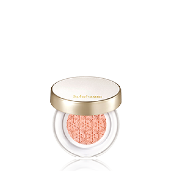 Multi Cushion Highlighter