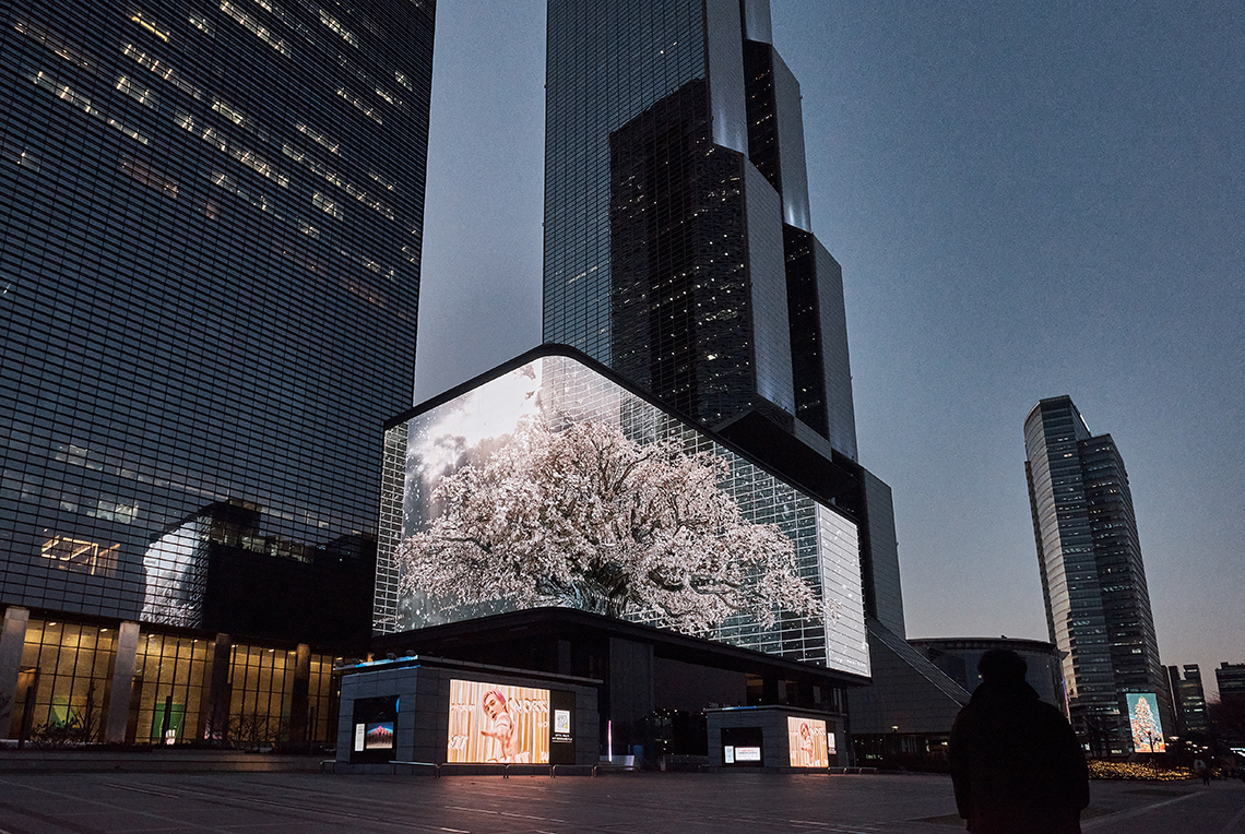 2020 설화문화전_삼성동 SM타운 Coex Artium 비오는 풍경