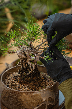 인장 클래스 현장스케치4