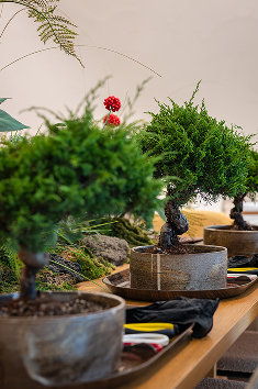 인장 클래스 현장스케치6