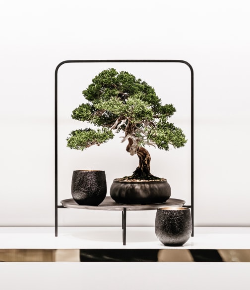 현대적인 스탠드에 전시된 향나무 차경