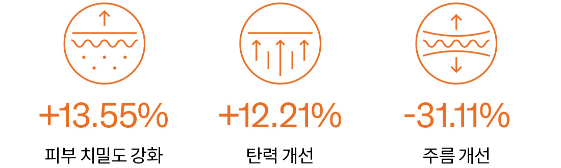 피부 치밀도 강화 +13.55% / 탄력 개선 +12.21% / 주름 개선 -31.11%