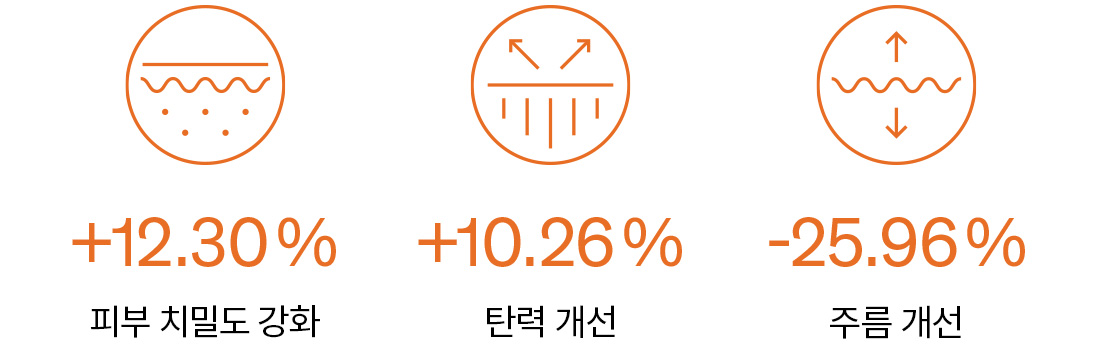 피부 치밀도 강화 +12.30% / 탄력 개선 +10.26% / 주름 개선 -25.96%