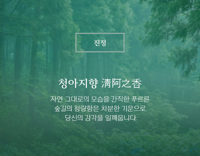 청아지향_자연 그대로의 모습을 간직한 푸르른 숲길의 청량함은 차분한 기운으로 당신의 감각을 일깨웁니다.