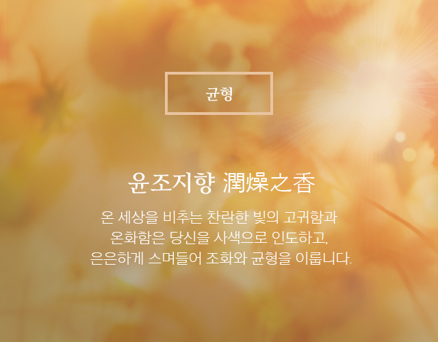 윤조지향-온 세상을 비추는 찬란한 빛의 고귀함과 온화함은 당신을 사색으로 인도하고, 은은하게 스며들어 조화와 균형을 이룹니다.
