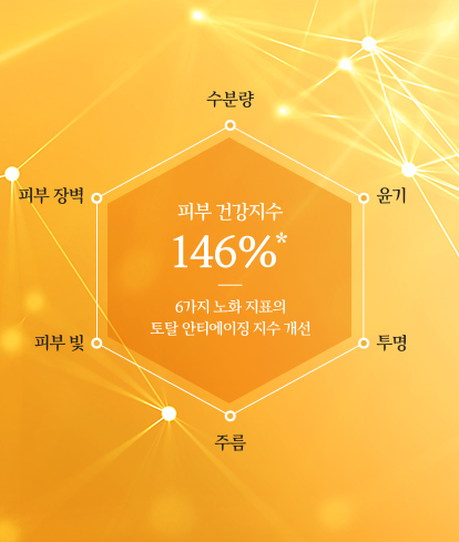하단 텍스트 참조