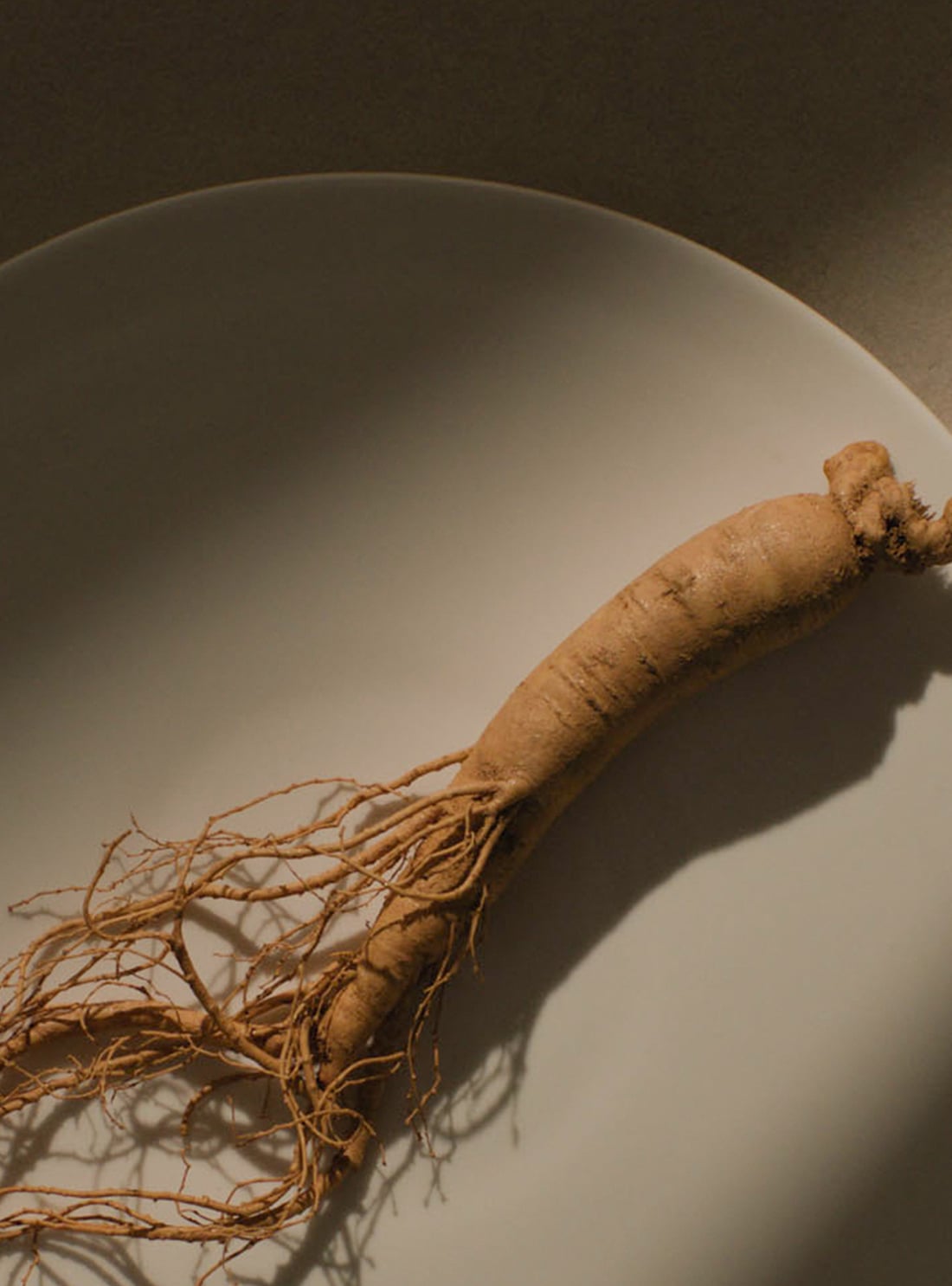 ginseng