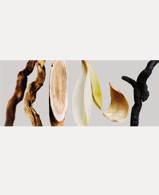 옥죽·작약·연·백합·지황 등 한방 원료