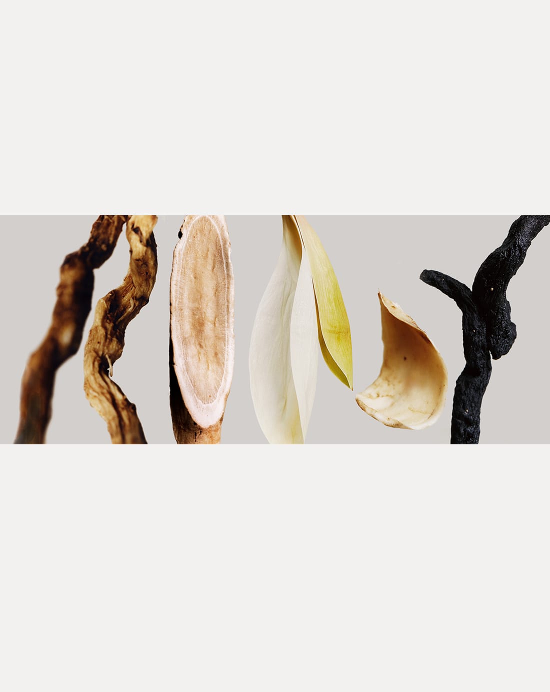 옥죽·작약·연·백합·지황 등 한방 원료