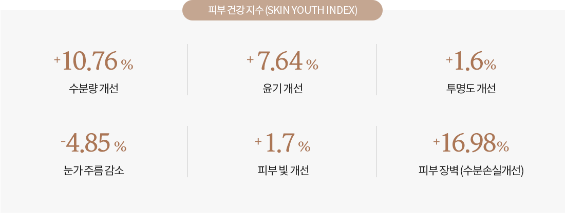 하단 텍스트 참조