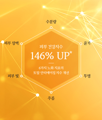 하단 텍스트 참조