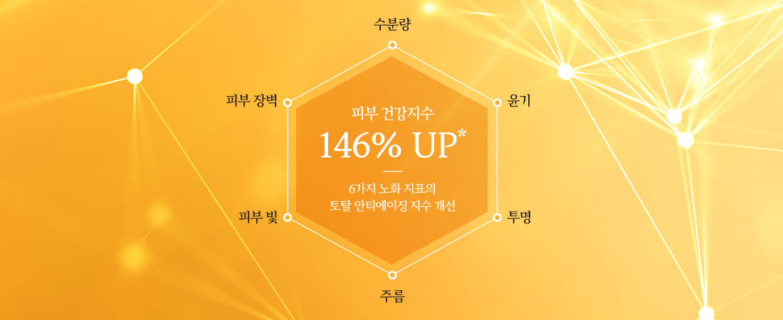 하단 텍스트 참조