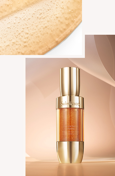 CONCENTRATED GINSENG RENEWING SERUM EX