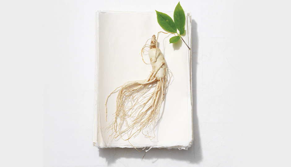 Born with the power of ginseng
