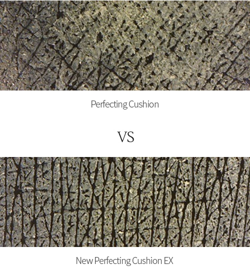 Perfecting Cushion VS NEW Perfecting Cushion EX