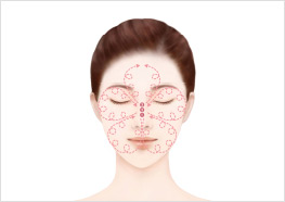 STEP2 - 참고 일러스트
