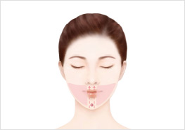 STEP2 - 참고 일러스트