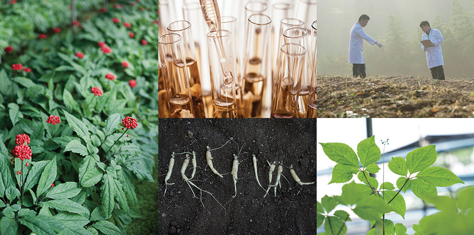 Sulwhasoo’s study on ginseng brings amazing vitality to the skin