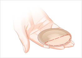 STEP1 - 참고 일러스트