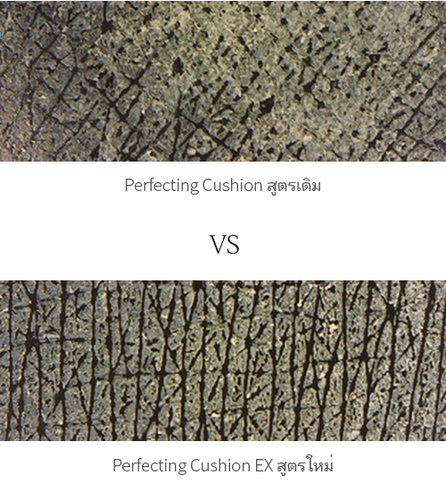 Perfecting Cushion VS NEW Perfecting Cushion EX