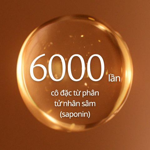 6000 lần cô đặc từ phân tử nhân sâm (saponin)