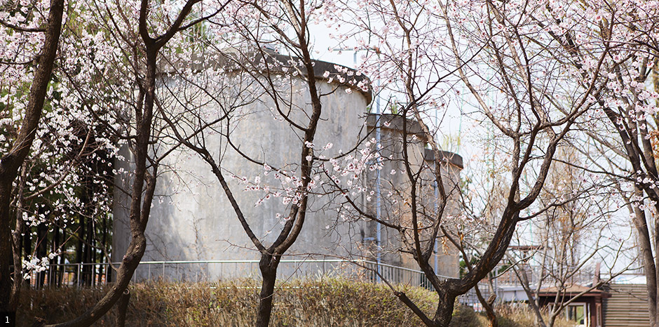 사진1