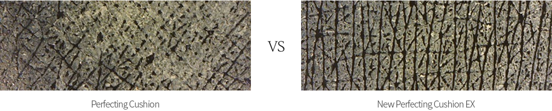 Perfecting Cushion VS NEW Perfecting Cushion EX