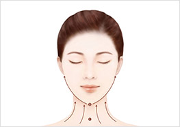 STEP4 - 참고 일러스트